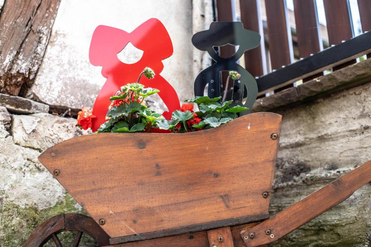 Gite Le Coeur D'Alsace Boofzheim Ngoại thất bức ảnh